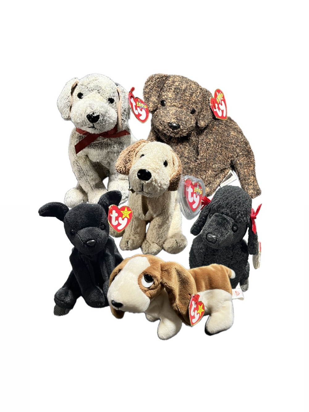 Beanie Babies Dog Lot - 6